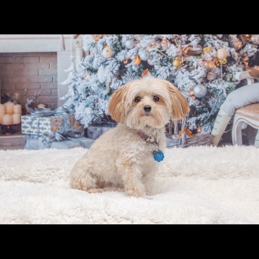 Meet your Posher, Karra